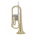 Cerveny CFH-501 flugelhorna